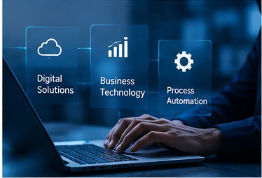 Professional software and IT systems environment